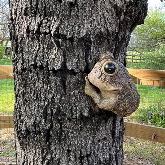 “Shhh Frog” Tree Climbing Decor