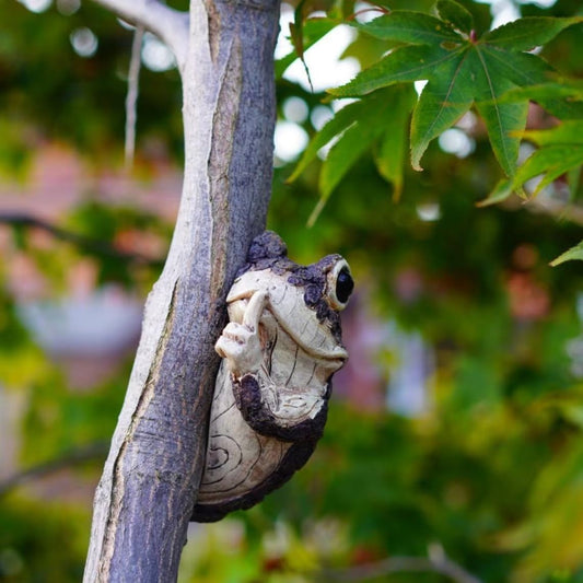 “Shhh Frog” Tree Climbing Decor